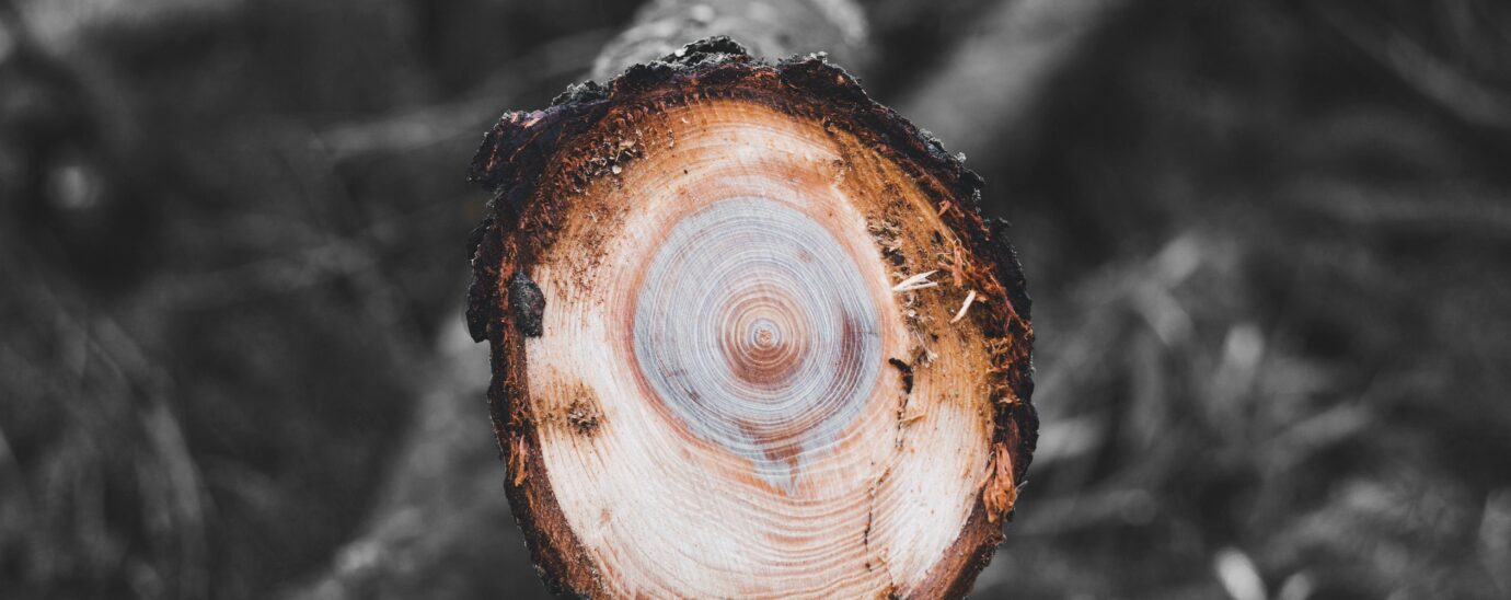 How traceability solutions can help industries become more sustainable. 1 An image of , Business, How traceability solutions can help industries become more sustainable.