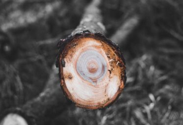 How traceability solutions can help industries become more sustainable.